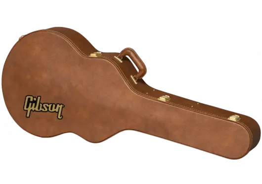 AGA ASJ185CASE - ORG - Richards Guitars Of Stratford Upon Avon