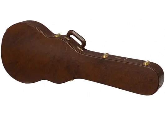 AGA ASLFTCASE - GTR - LPJ - Richards Guitars Of Stratford Upon Avon