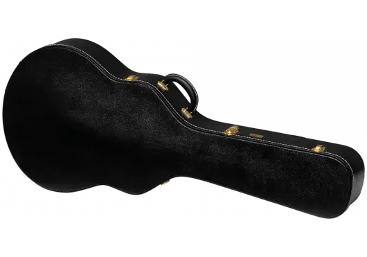 AGA ASLFTCASE - PB - 335 - Richards Guitars Of Stratford Upon Avon