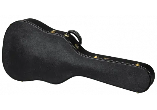 AGA ASLFTCASE - PB - DN - Richards Guitars Of Stratford Upon Avon