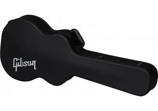 AGA ASLGCASE - MDR - Richards Guitars Of Stratford Upon Avon