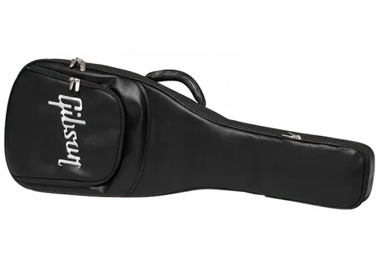 AGA ASSFCASE - BLK - Richards Guitars Of Stratford Upon Avon