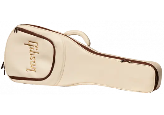 AGA ASSFCASE - CRM - Richards Guitars Of Stratford Upon Avon