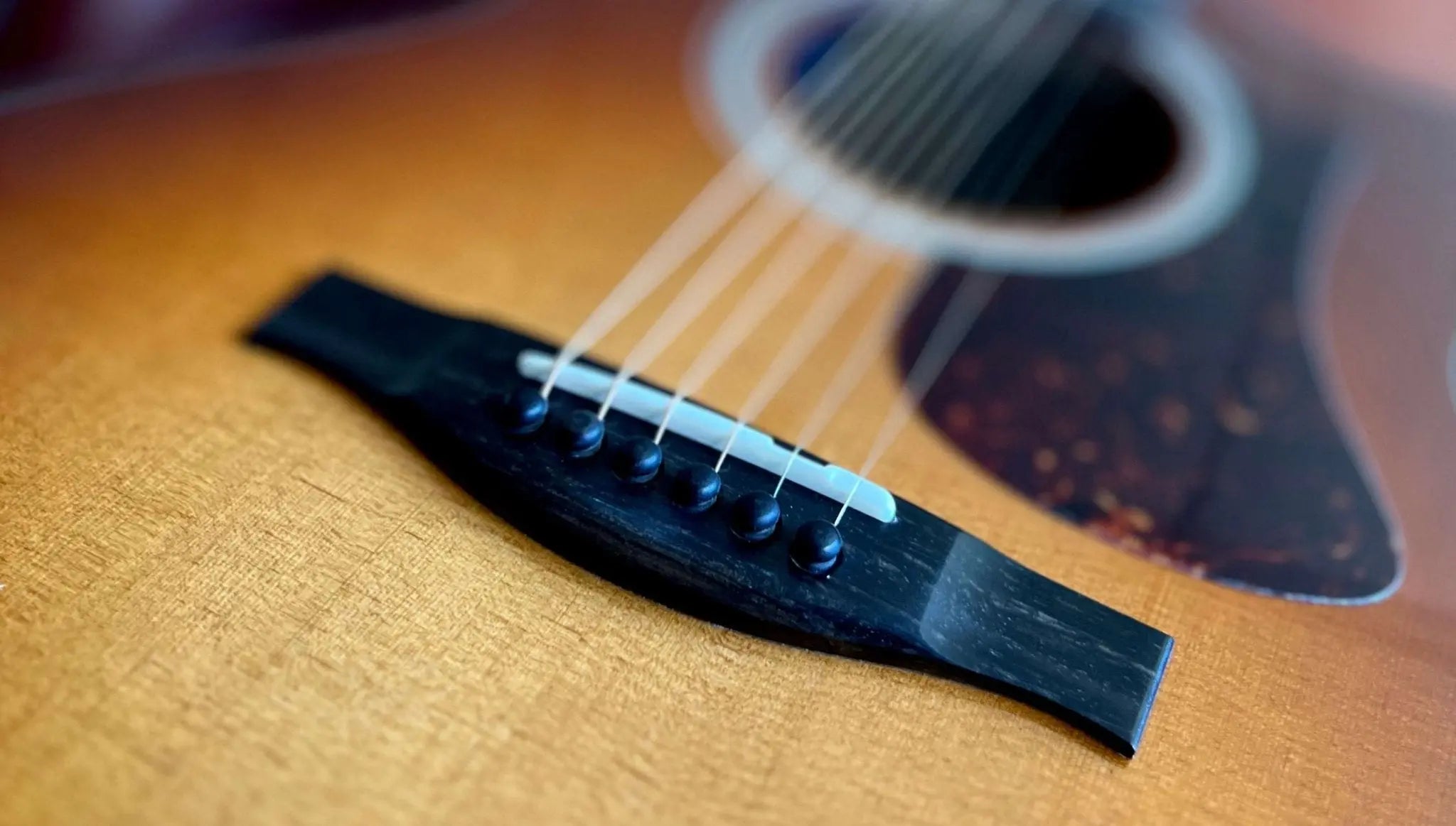 Eastman AC222CE - DLX - GB (Price inc. Custom Pro Setup Package) - Richards Guitars Of Stratford Upon Avon