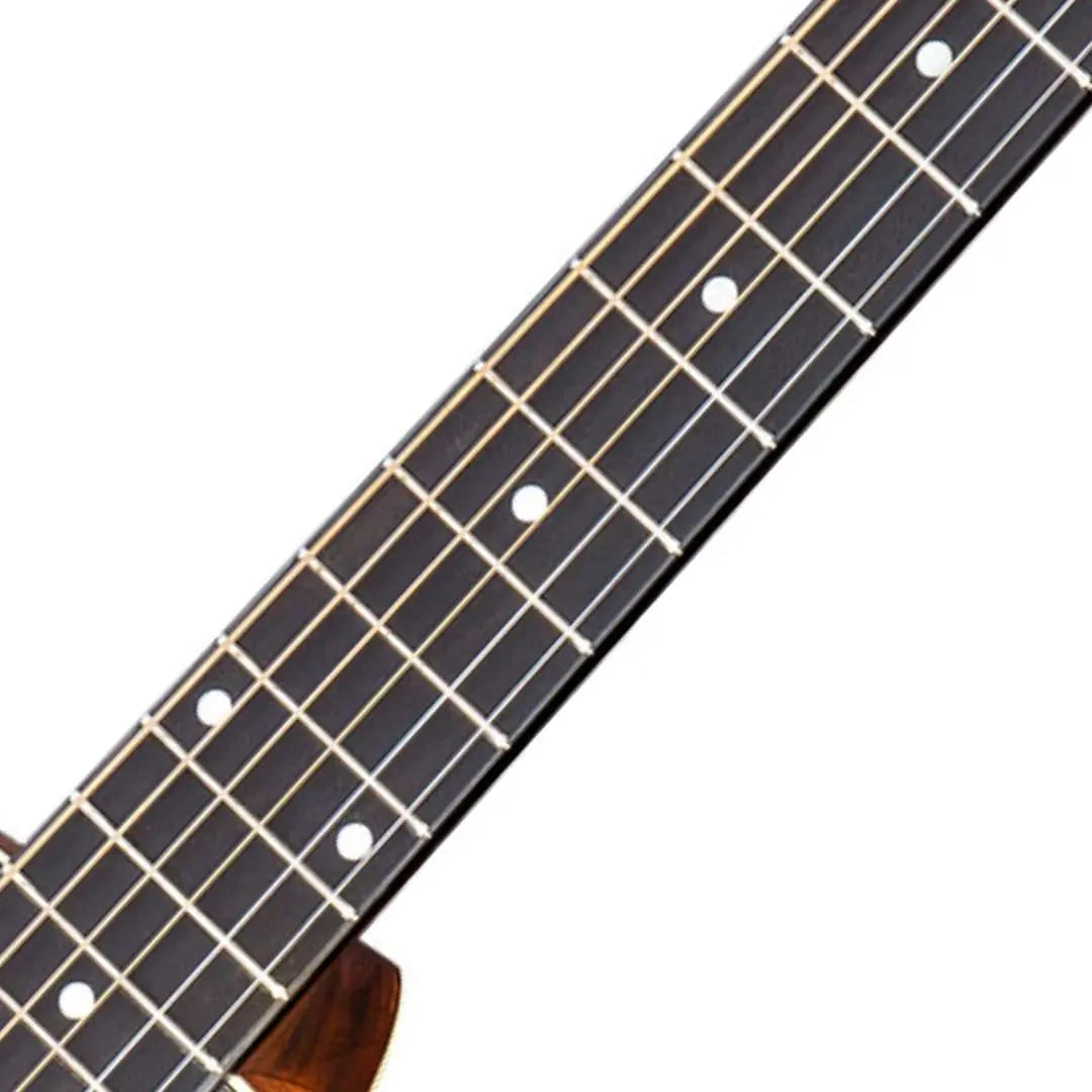 Eastman E6 SS TC Slope Shoulder Dreadnought (Price inc. Custom Pro Setup Package) - Richards Guitars Of Stratford Upon Avon