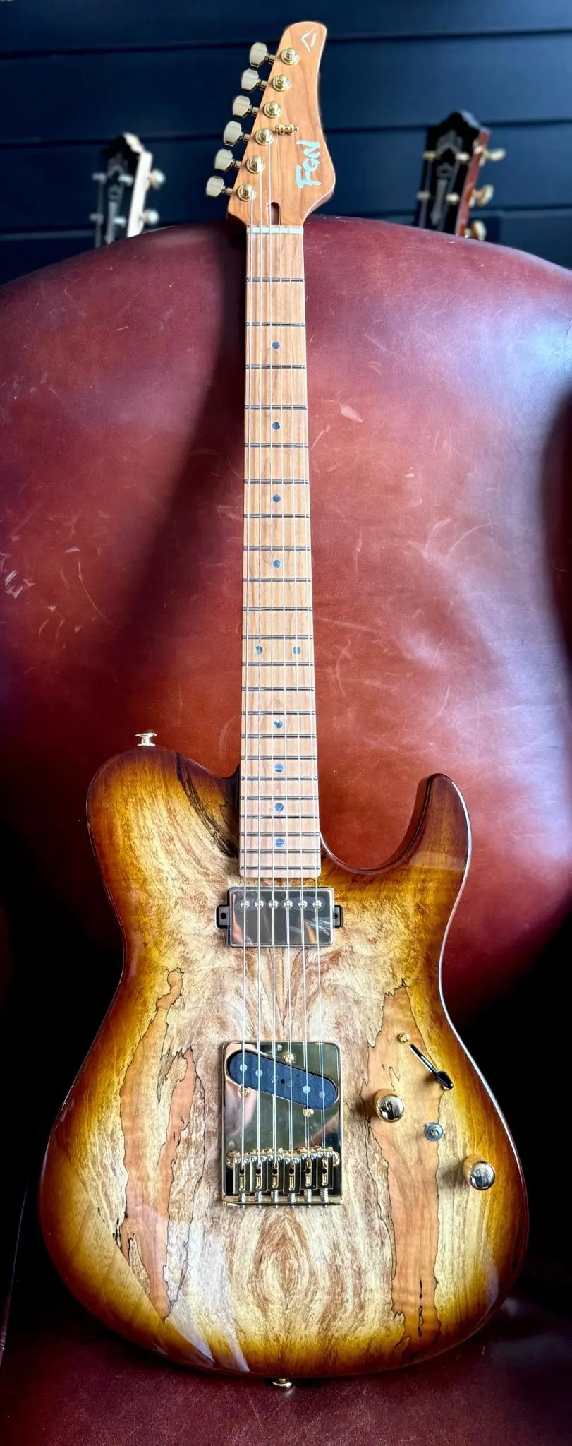 FGN Guitars Expert Iliad HCB Hojicha Burst - Richards Guitars Of Stratford Upon Avon