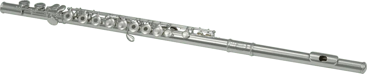 Flute (Entry Level) - C - Richards Guitars Of Stratford Upon Avon