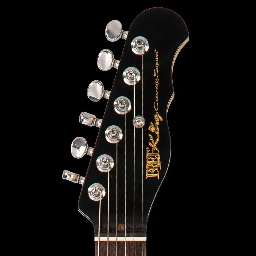 FRET KING COUNTRY SQUIRE STEALTH - GLOSS BLACK (Includes Our £85 Pro Setup Free) - Richards Guitars Of Stratford Upon Avon