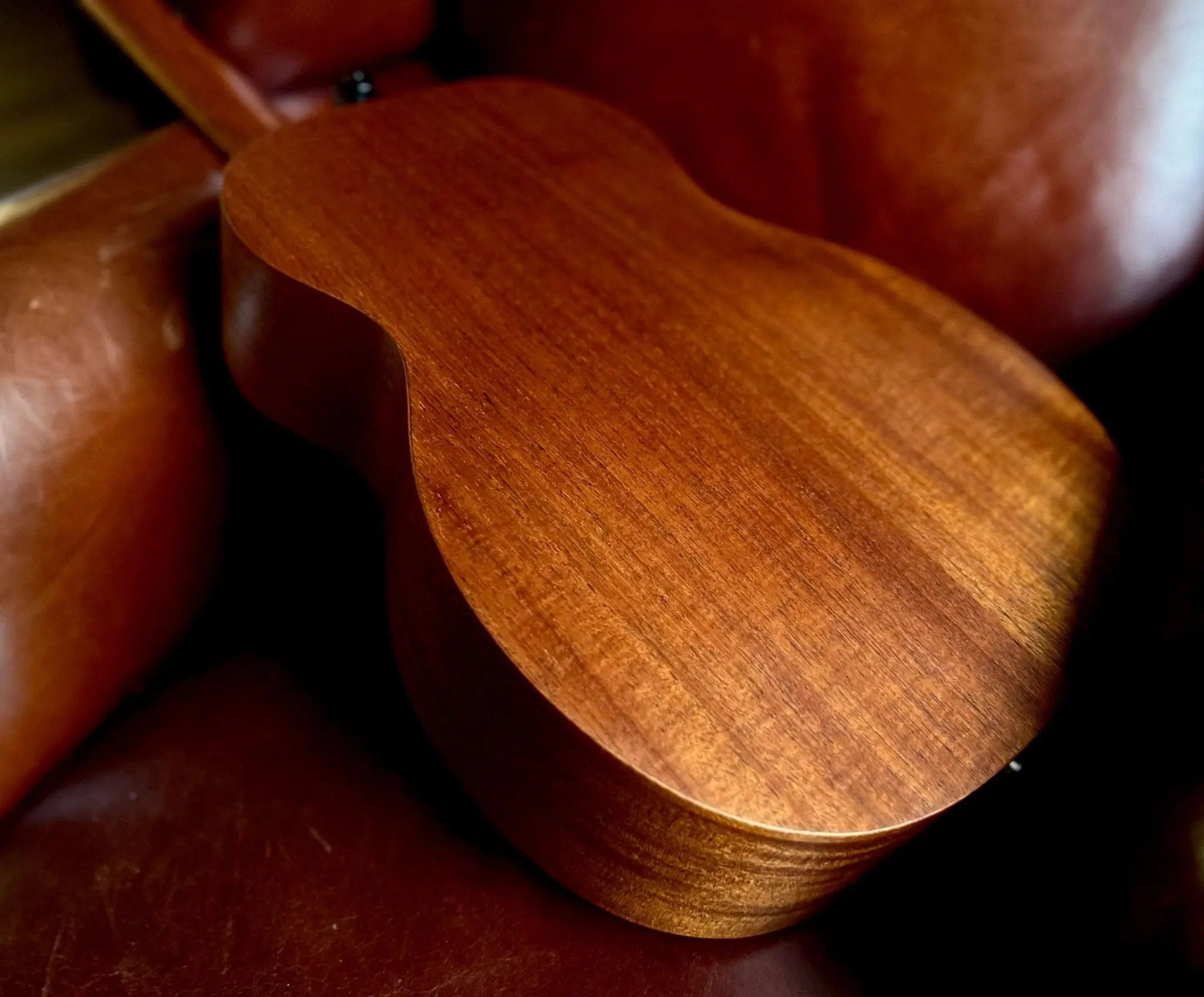 LAG Escapade Globe Trotter Electro Acoustic Travel Guitar - Richards Guitars Of Stratford Upon Avon