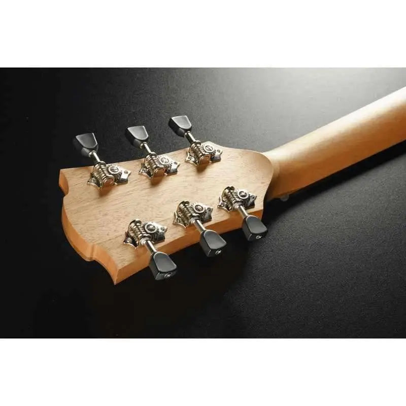 Lag T70ACE - B&B Auditorium Cutaway electro - Richards Guitars Of Stratford Upon Avon