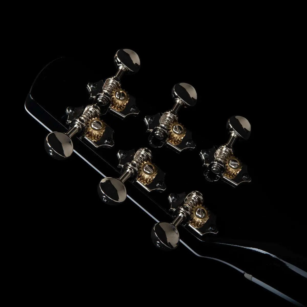 Seagull Artist LTD Electro - Acoustic Guitar ~ Tuxedo Black Anthem with Bag - Richards Guitars Of Stratford Upon Avon