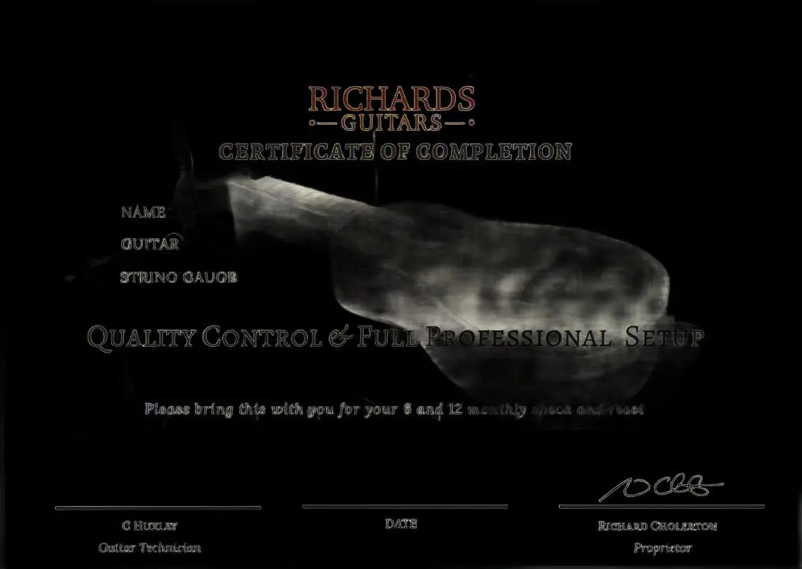 Vintage* V100AFD Electric Guitar - Richards Guitars Of Stratford Upon Avon