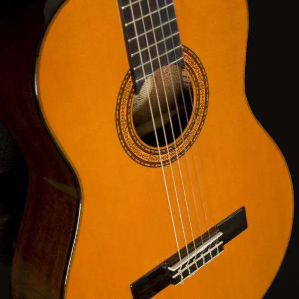 Washburn C5 Classical - Natural Nylon Strung Guitar - Richards Guitars Of Stratford Upon Avon