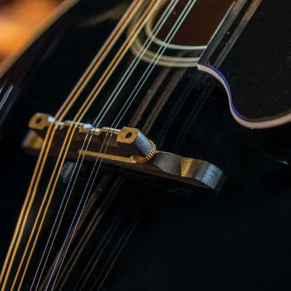 Washburn M1SD - Mandolin - Black Mandolin - Richards Guitars Of Stratford Upon Avon