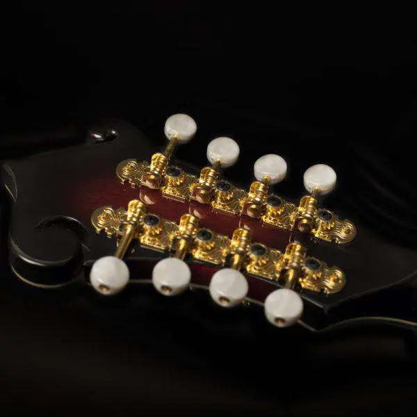 Washburn M3SWE - Mandolin - Trans Wine Red Mandolin - Richards Guitars Of Stratford Upon Avon