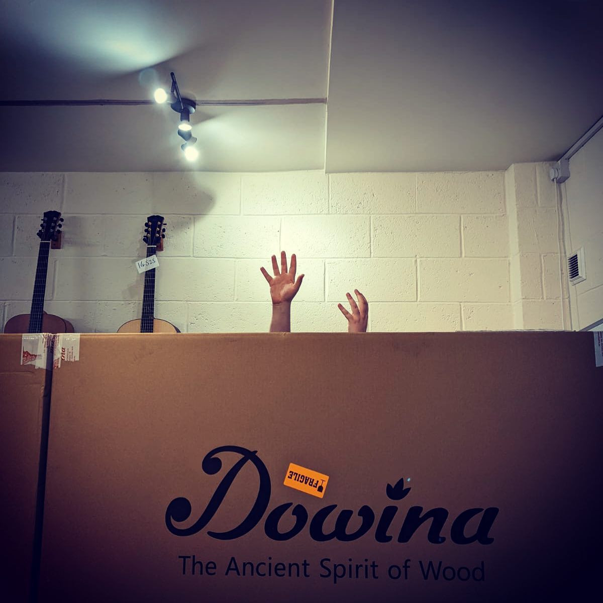 Dowina Delivery!  Some GORGEOUS Guitars Have Just Arrived