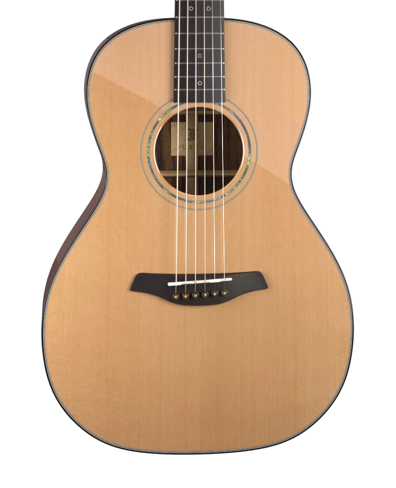 What Players Benefit From a 12 Fret Guitar?