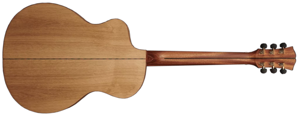 Looking For an Eco Friendly Acoustic Guitar?  You Need To Know About Dowina Guitars