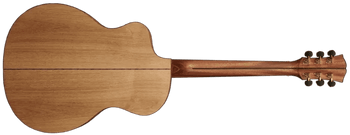 Eco Friendly Acoustic Guitar?  Dowina Would Have To Be Top Of Your List - Richards Guitars Of Stratford Upon Avon