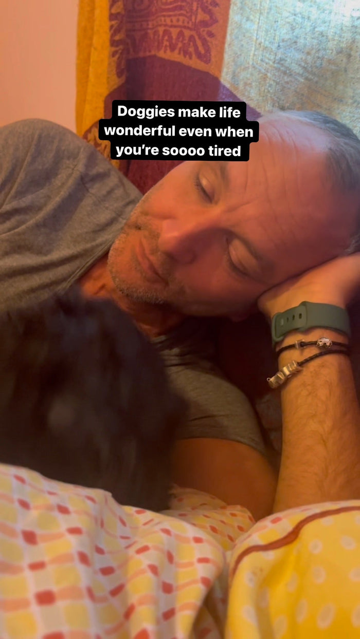 Lifes Not All About Guitars - My Gorgeous Daisy :) - Richards Guitars Of Stratford Upon Avon