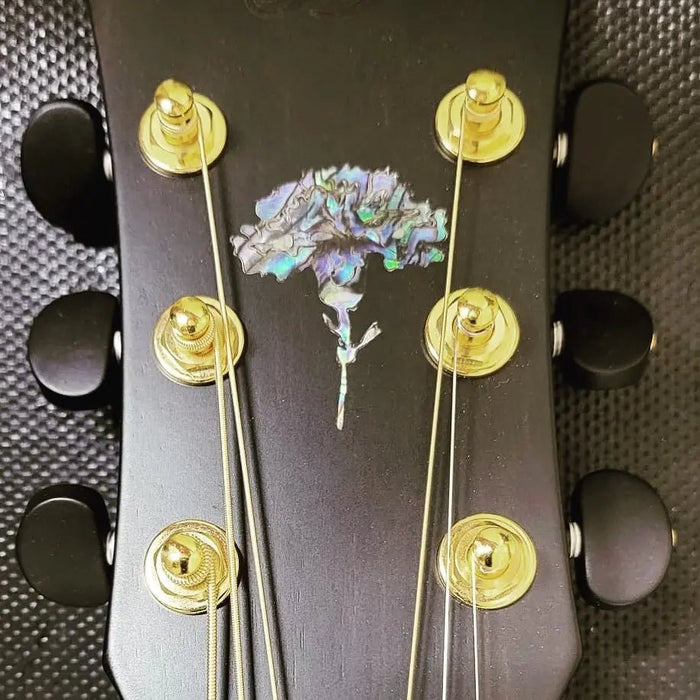 Something so incredi - Richards Guitars Of Stratford Upon Avon