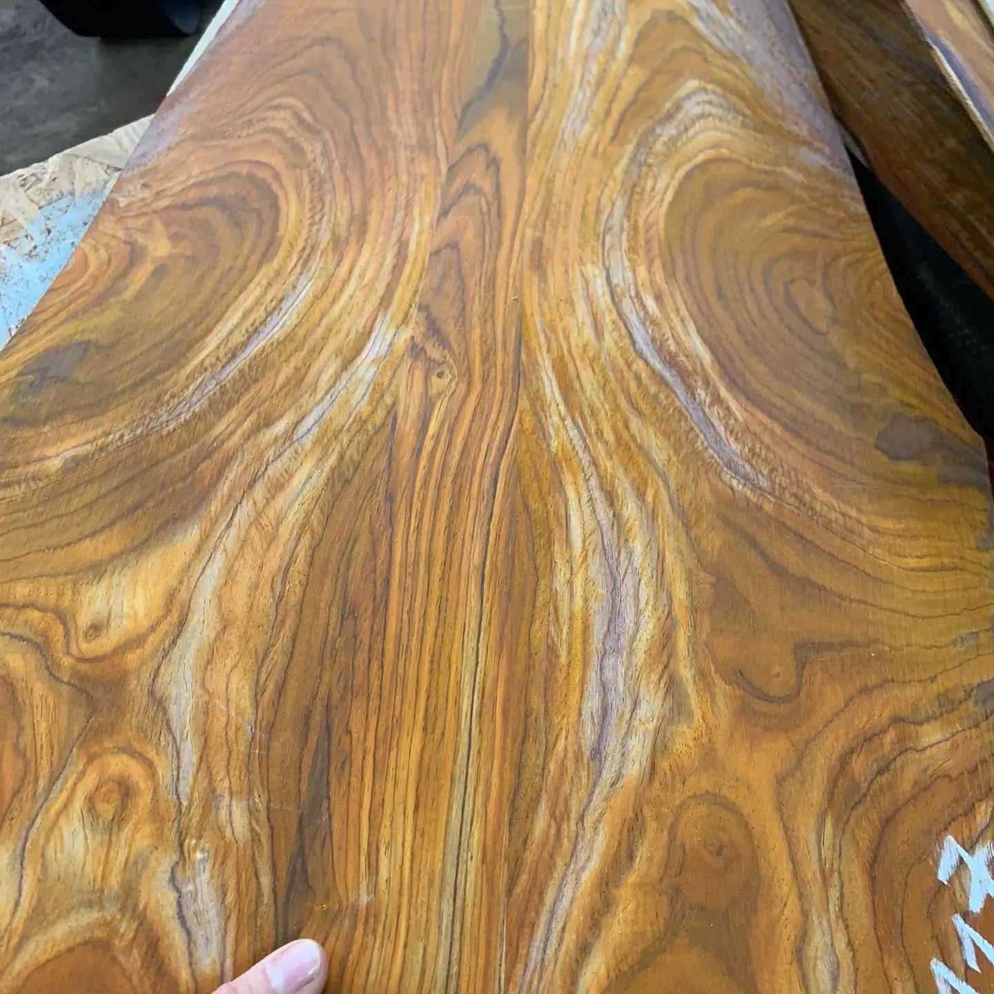 Zuzka “Queen of wo - Richards Guitars Of Stratford Upon Avon