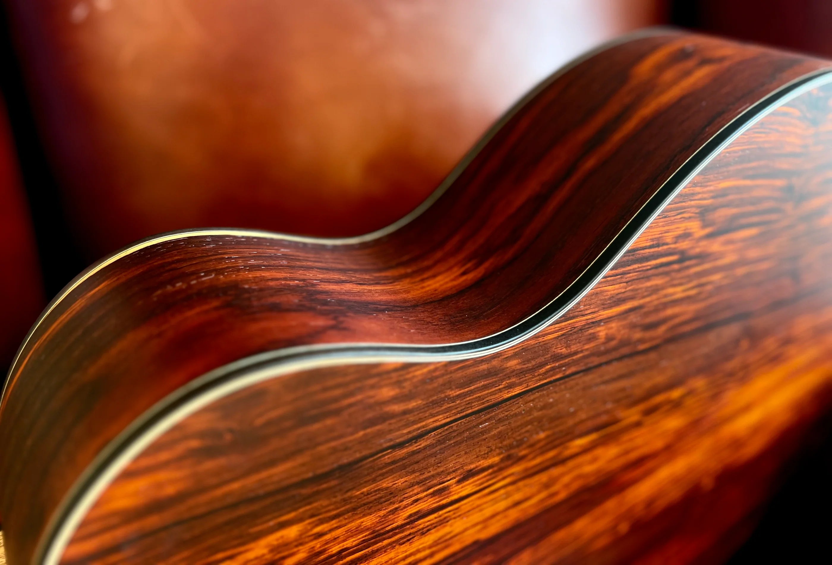 Acoutic Guitars With cocobolo back and sides