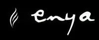 Enya Nova Go, SP1 & Nova Go Mini Acoustic, Electro Acoustic & Electric Travel Guitars With Built In Effects - Richards Guitars Of Stratford Upon Avon