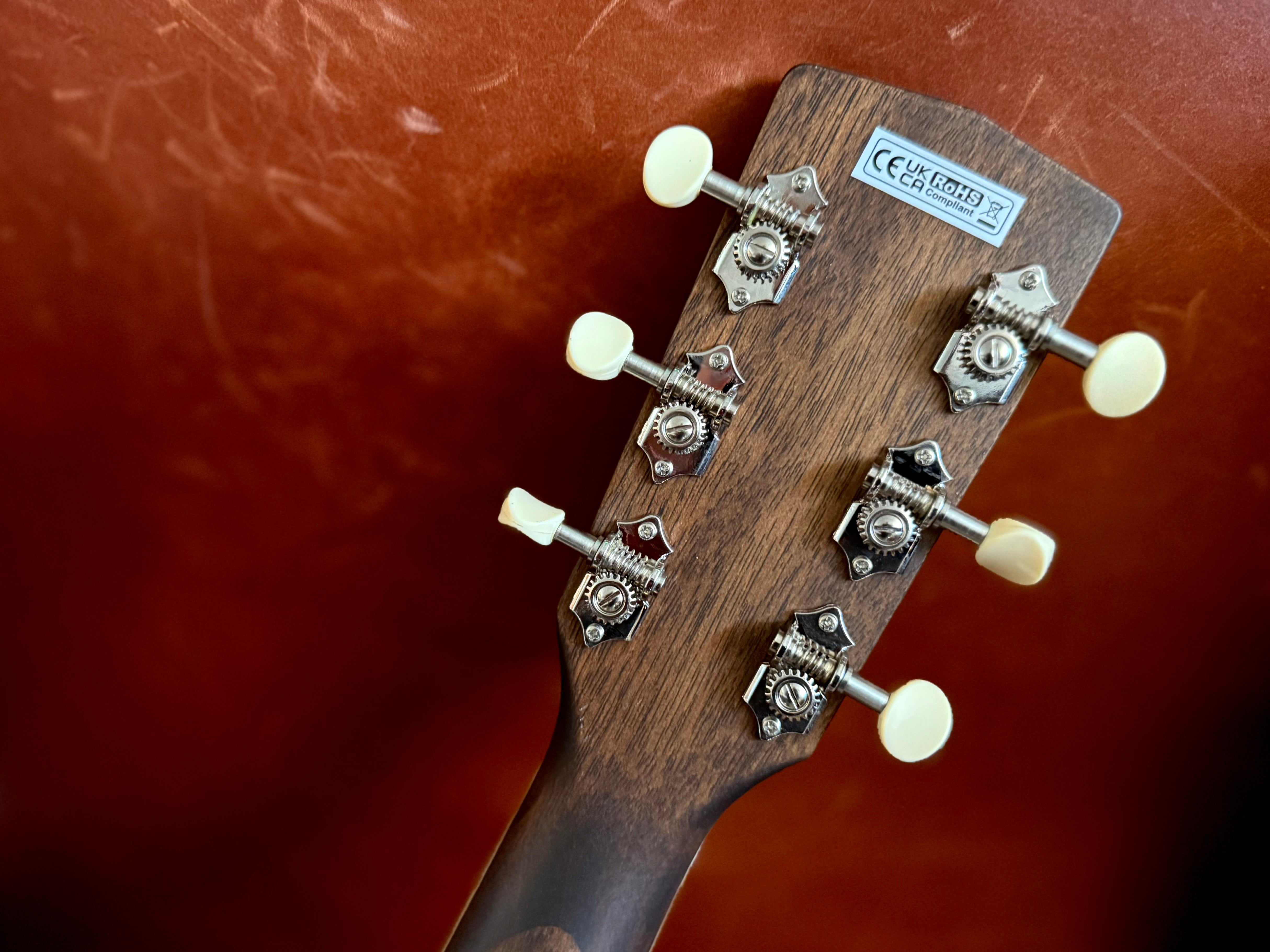 Cort SFX Myrtle Electro Acoustic Guitar