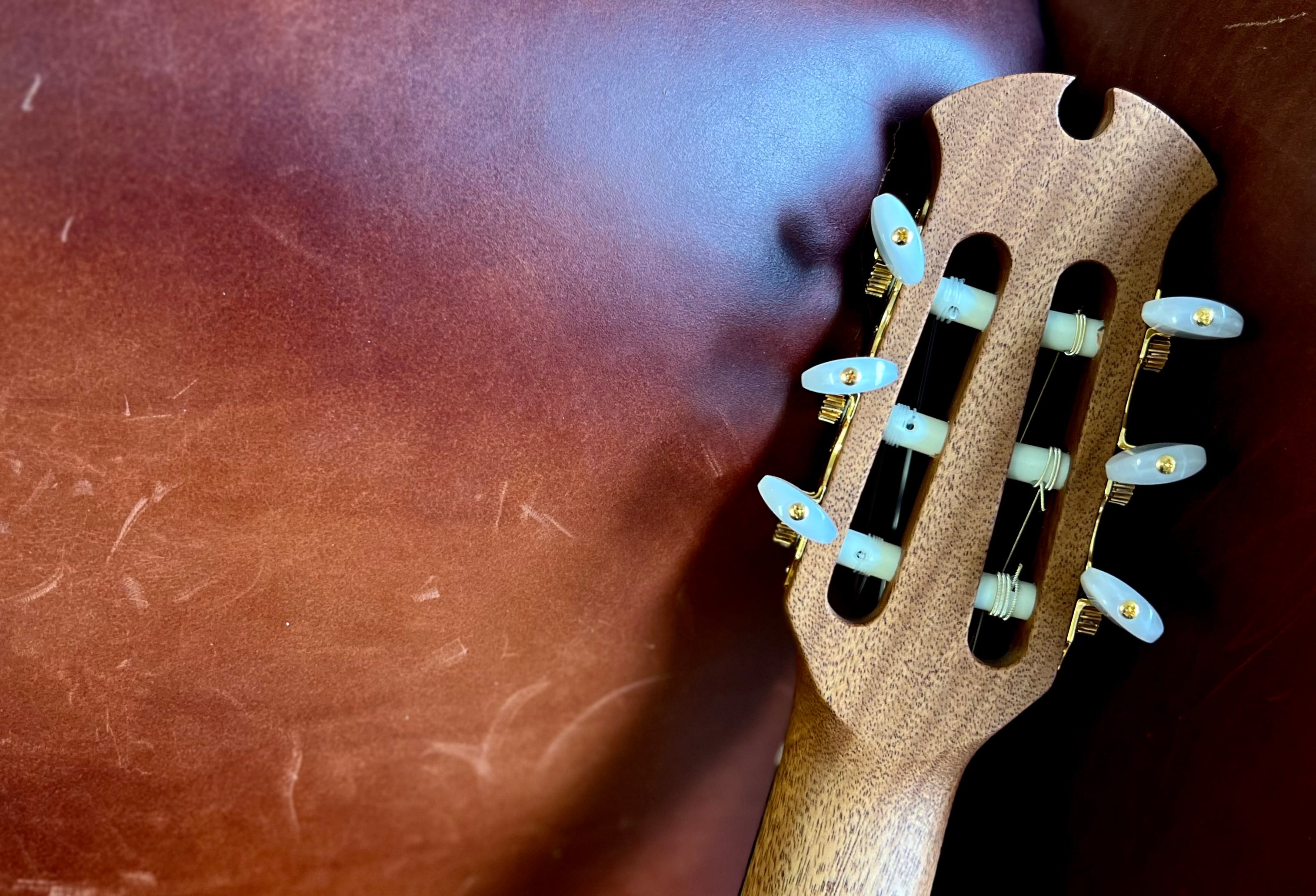 Dowina Rosewood (Ceres) HC Hybrid Nylon String Cutaway, Nylon Strung Guitar for sale at Richards Guitars.