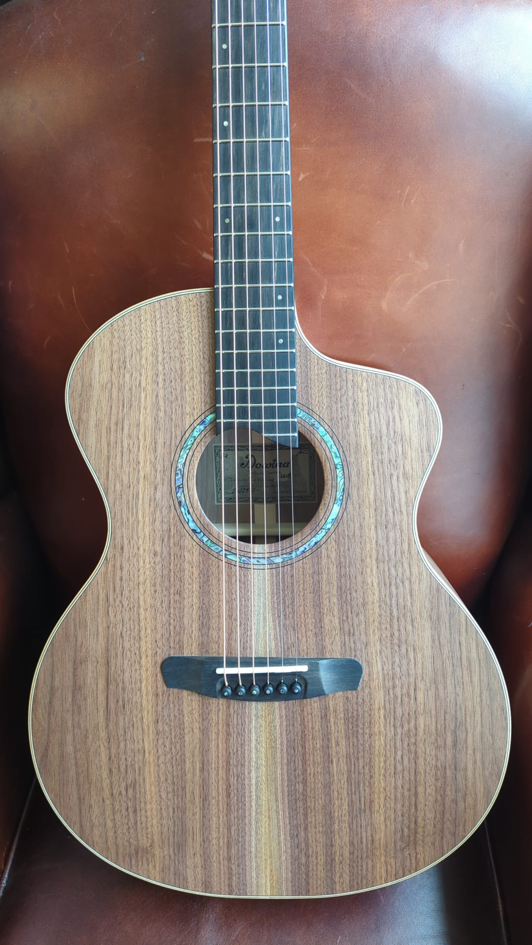 Dowina Walnut Tribute GAC, Acoustic Guitar for sale at Richards Guitars.