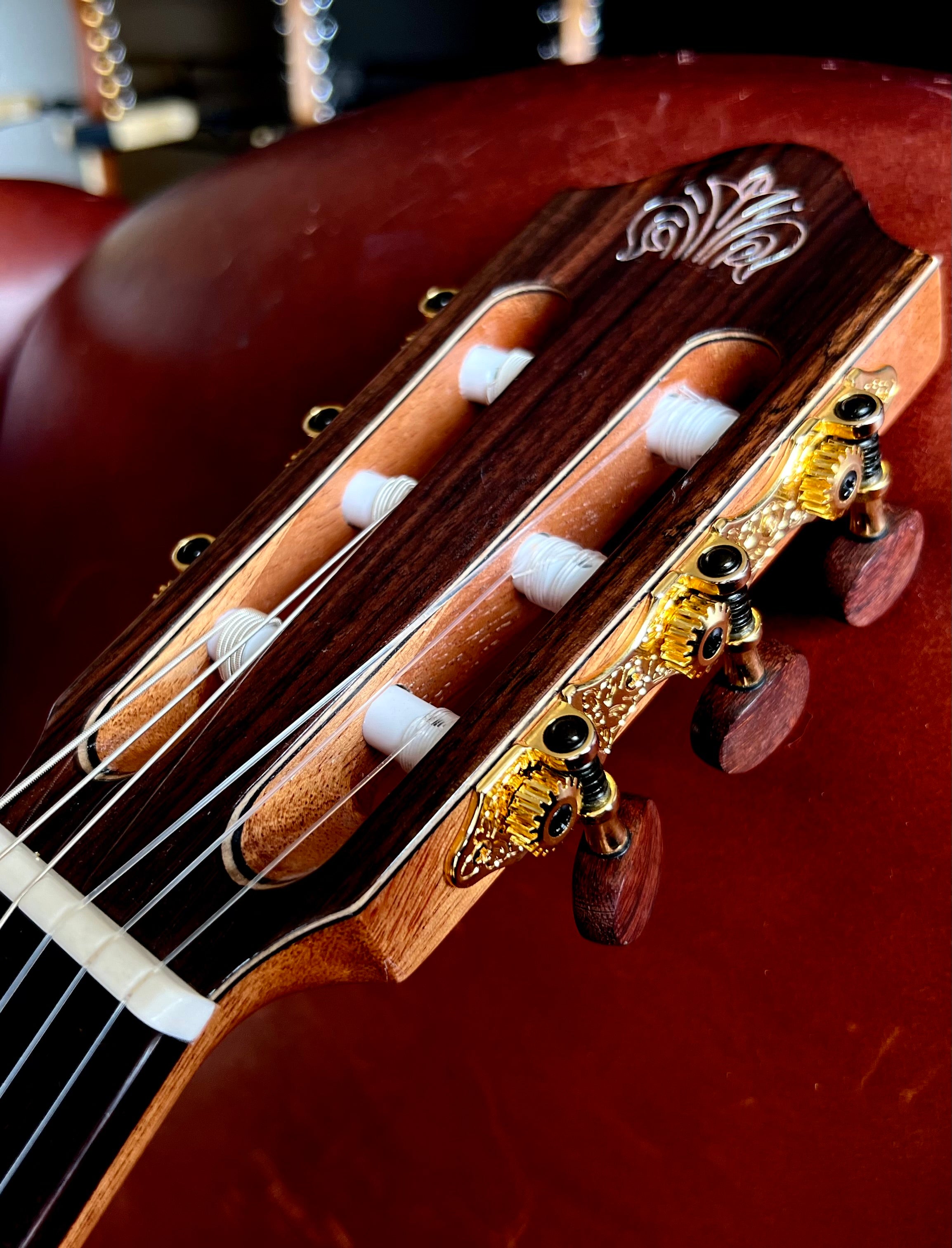 Kremona FIESTA FC, Solid Red Cedar, Solid Indian Rosewood, Nylon Strung Guitar for sale at Richards Guitars.