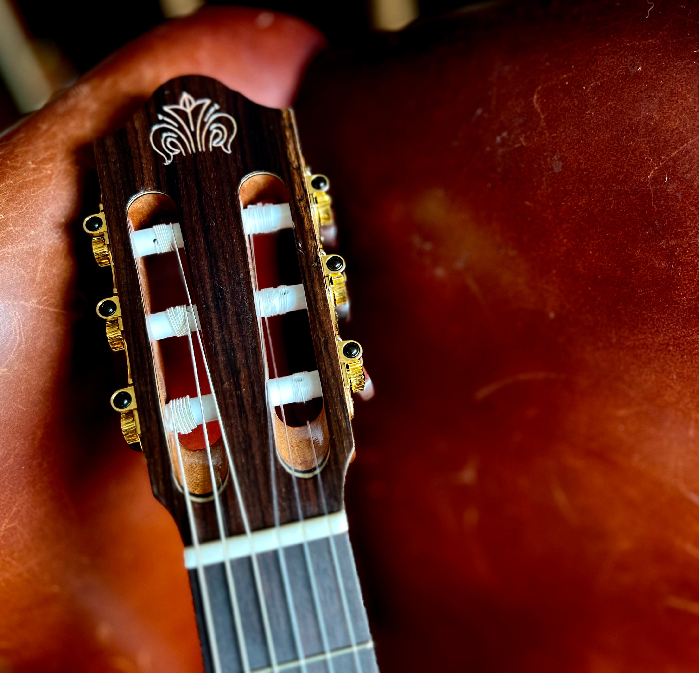 Kremona FIESTA FC, Solid Red Cedar, Solid Indian Rosewood, Nylon Strung Guitar for sale at Richards Guitars.