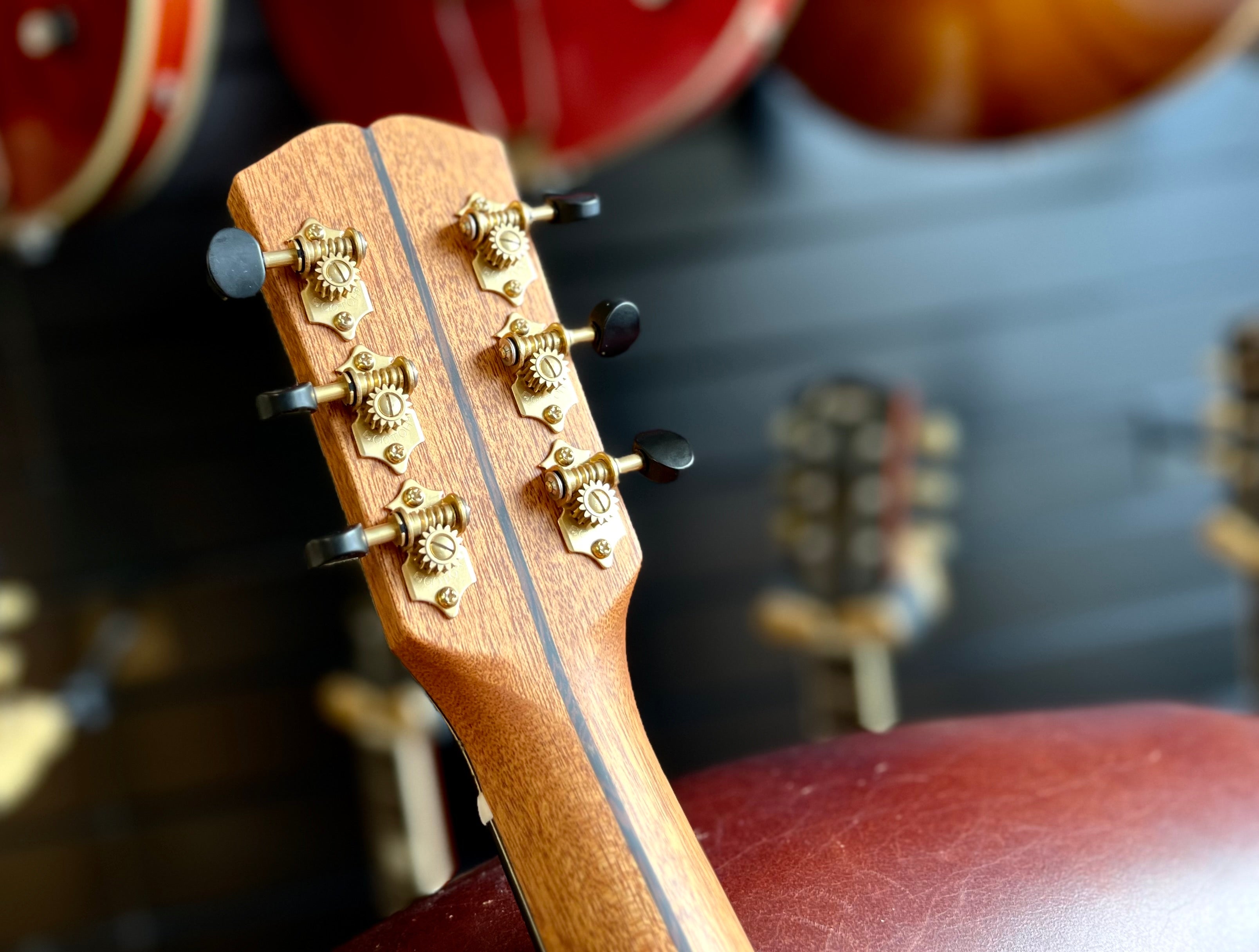 Dowina Masters Gallery Edition Cocobolo GAC SWS, Acoustic Guitar for sale at Richards Guitars.