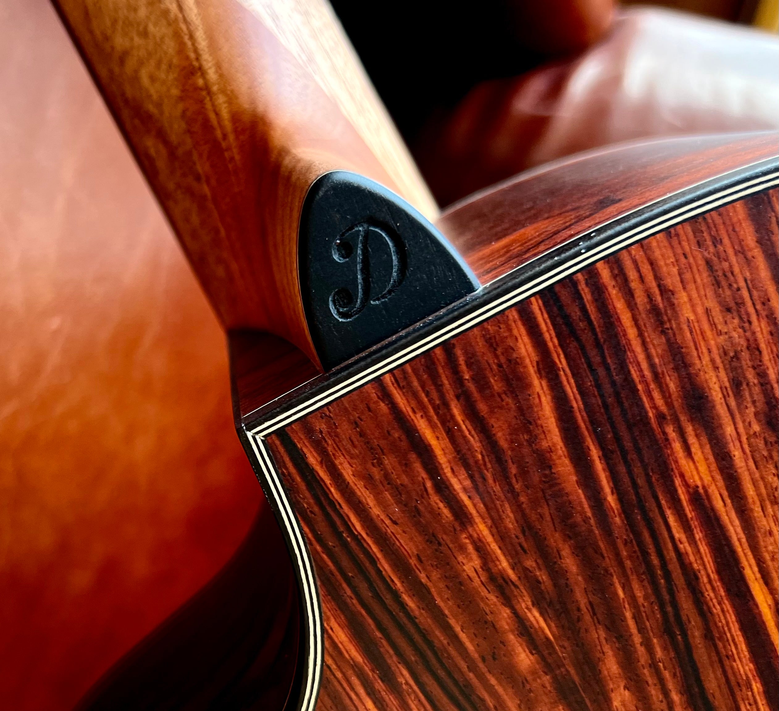 Dowina Masters Gallery Edition Cocobolo GAC SWS, Acoustic Guitar for sale at Richards Guitars.