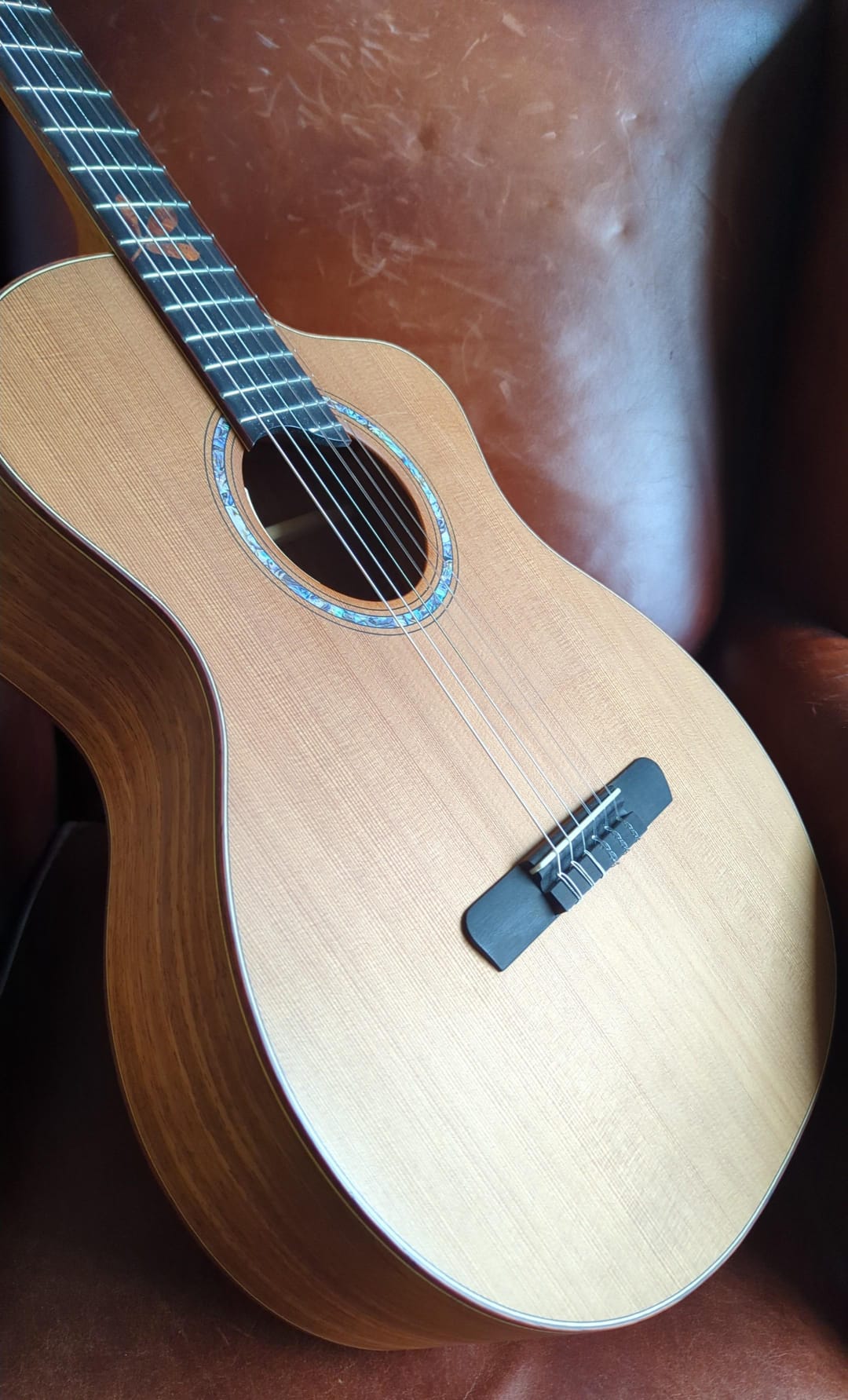 Dowina Padauk HC - Cedar Paduk (Used)