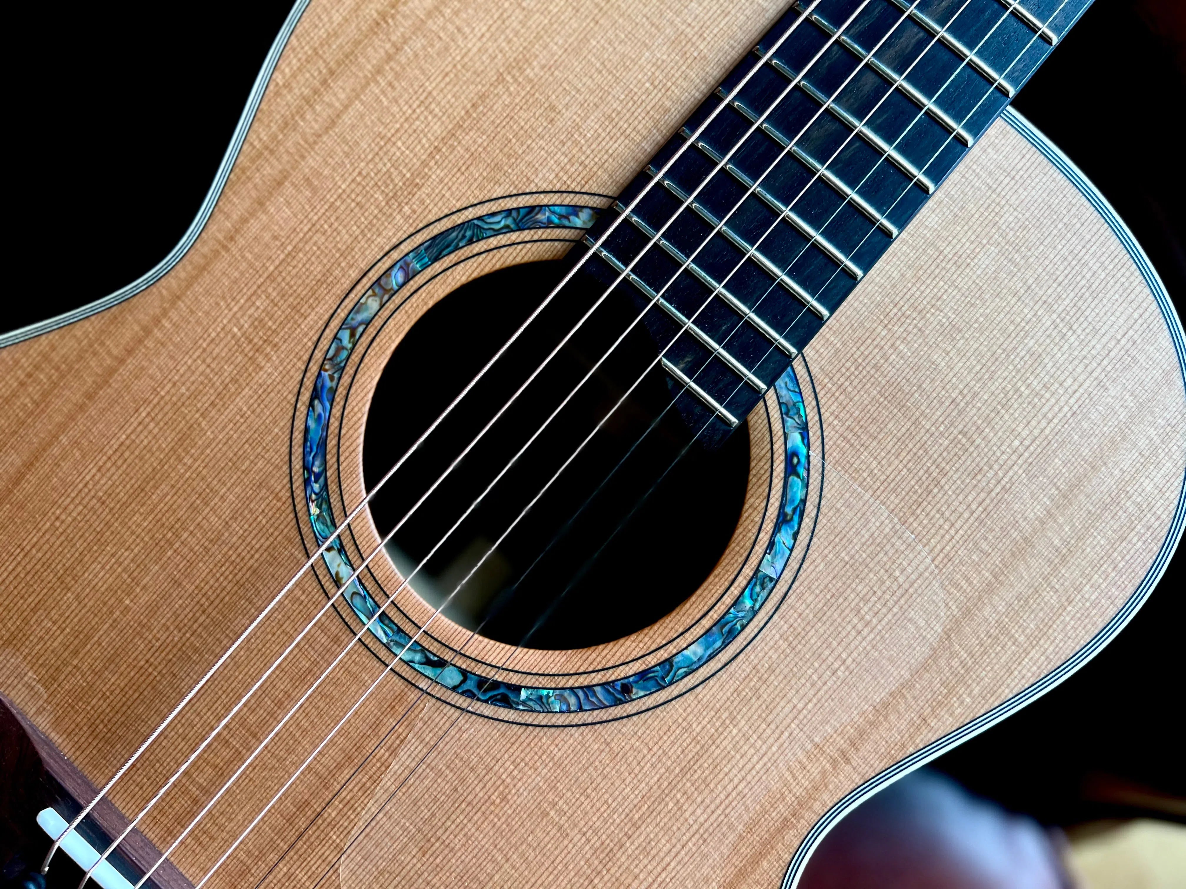 Dowina Cocobolo OMG, Acoustic Guitar for sale at Richards Guitars.