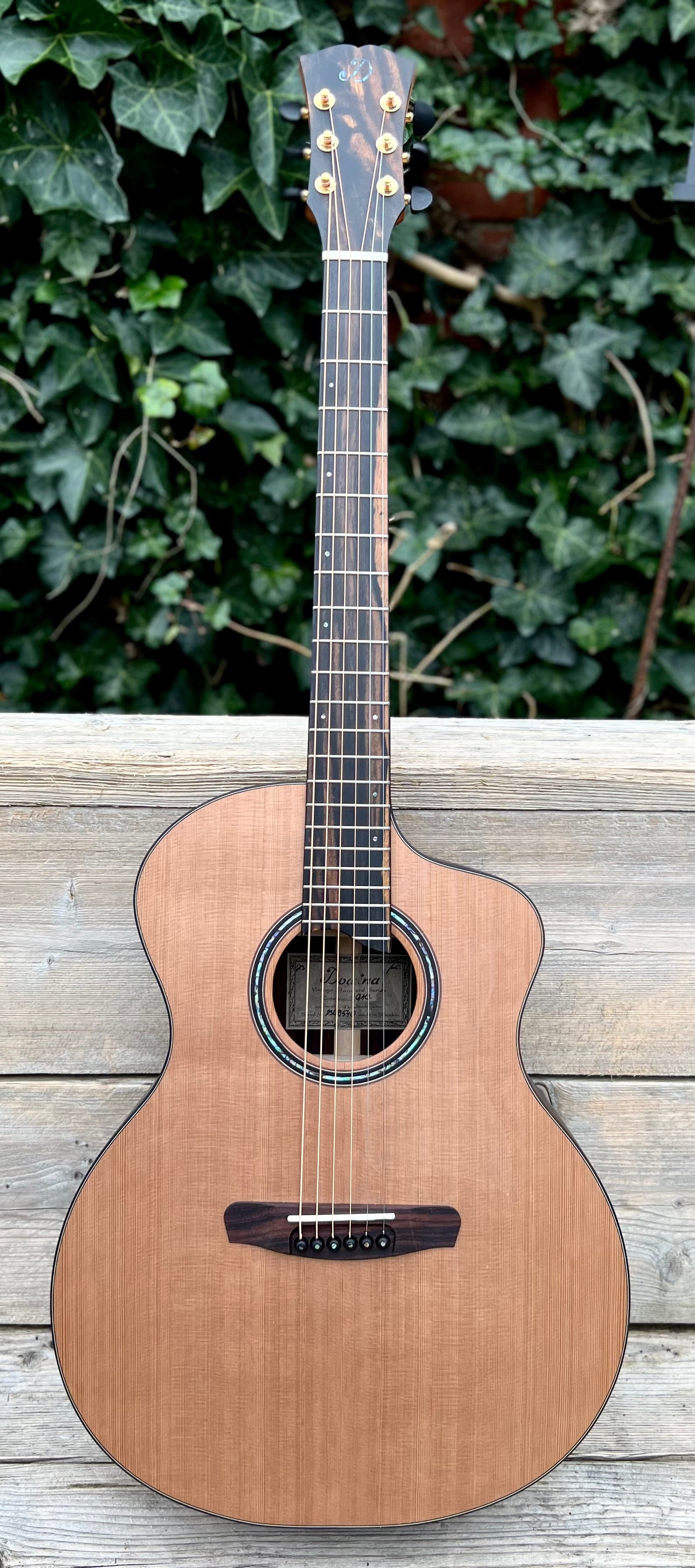 Dowina Rosewood GAC, Acoustic Guitar for sale at Richards Guitars.