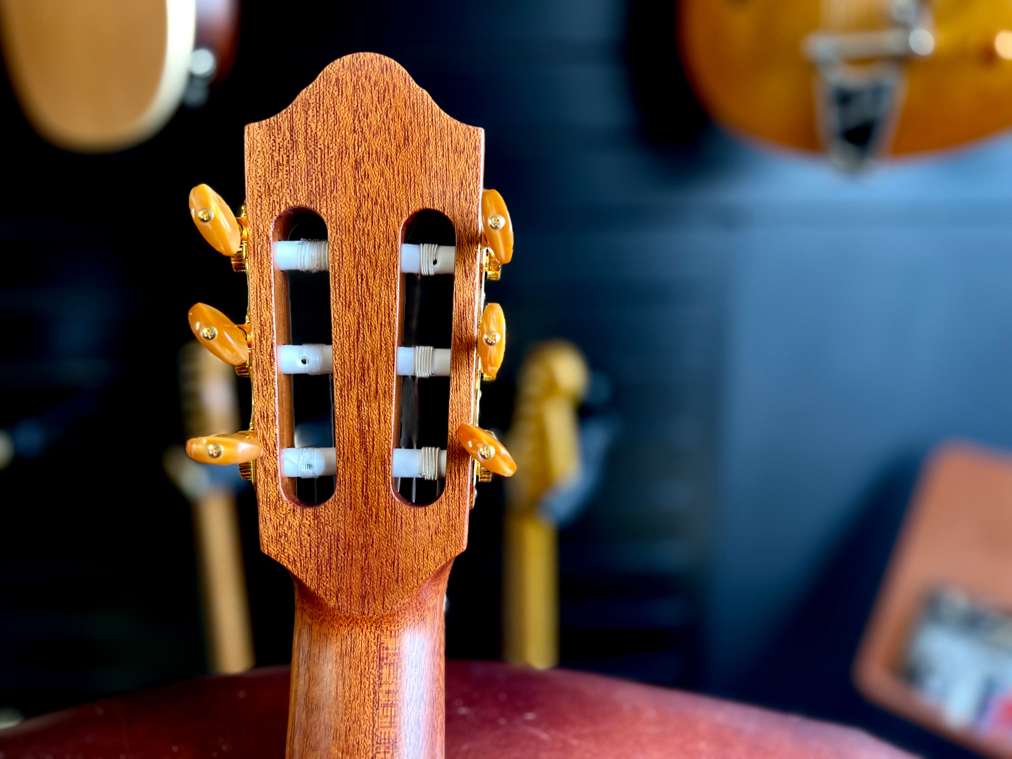 Kremona SOFIA SC Solid Red Cedar, Solid Sapelli, Nylon Strung Guitar for sale at Richards Guitars.