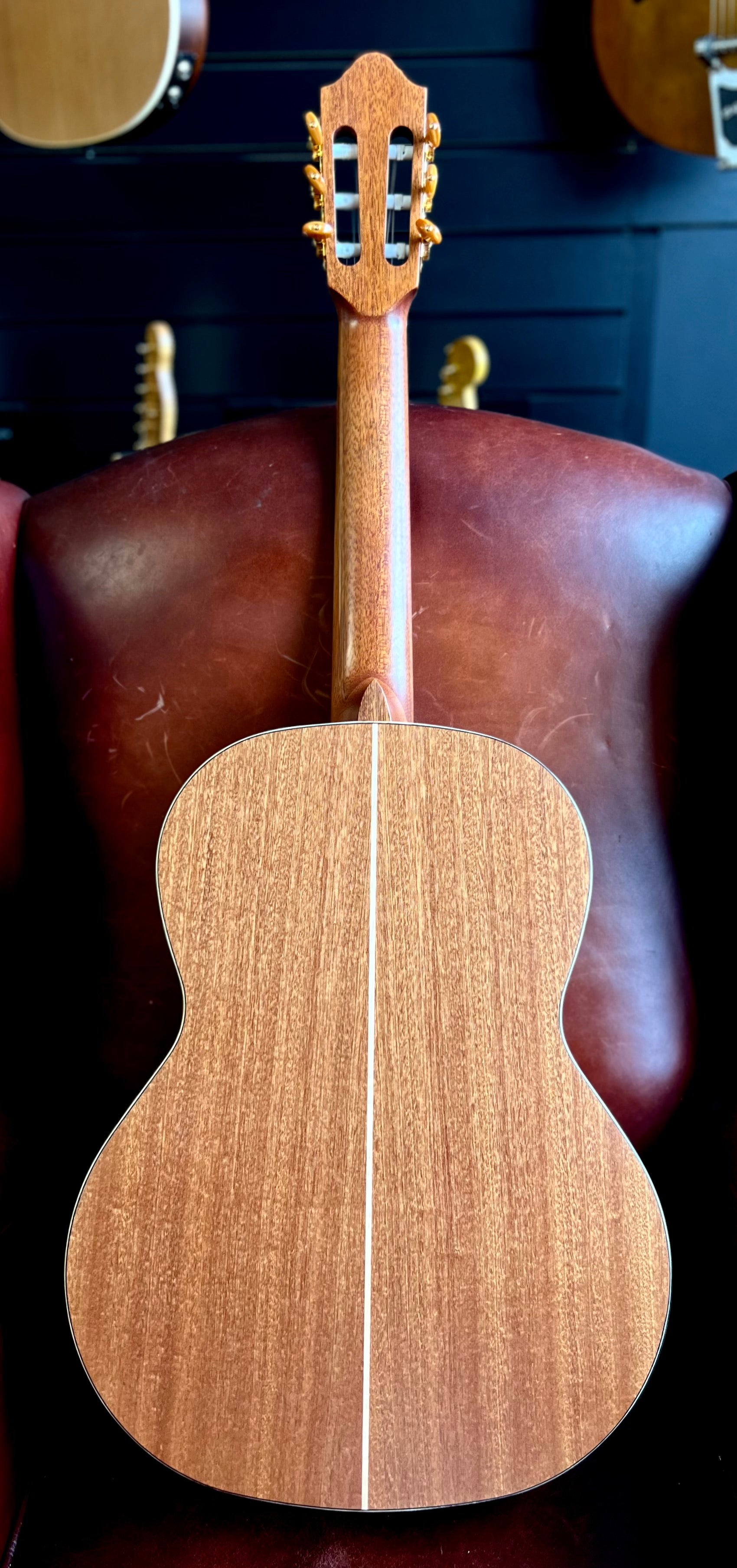 Kremona SOFIA SC Solid Red Cedar, Solid Sapelli, Nylon Strung Guitar for sale at Richards Guitars.