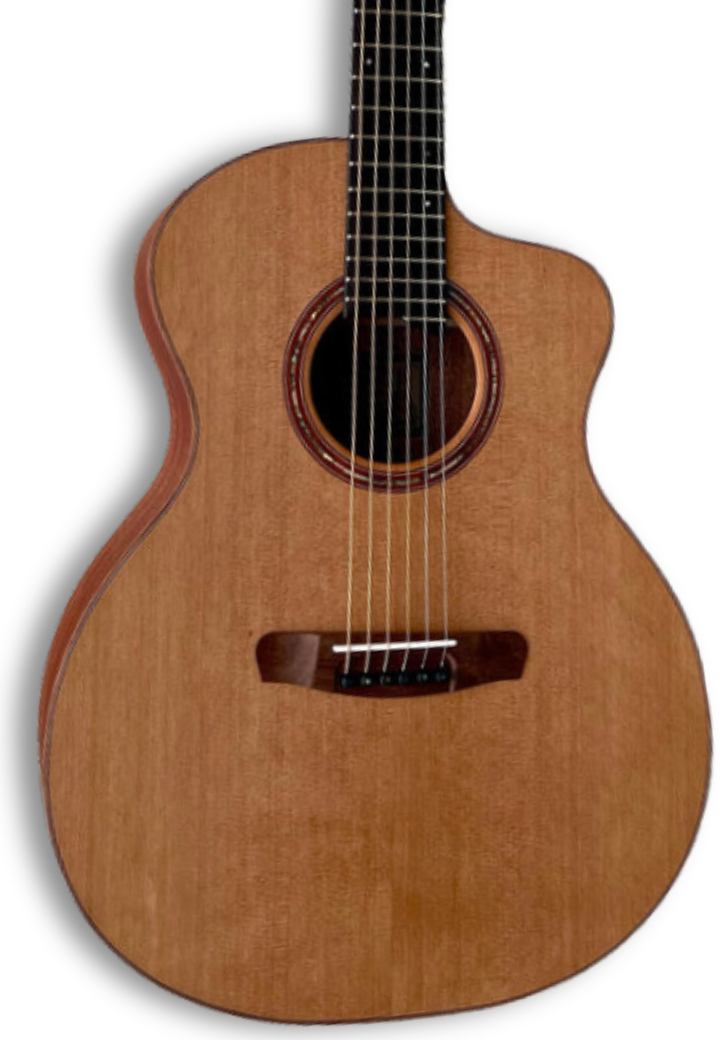 Acoustic Guitar - Dowina Mahogany GAC