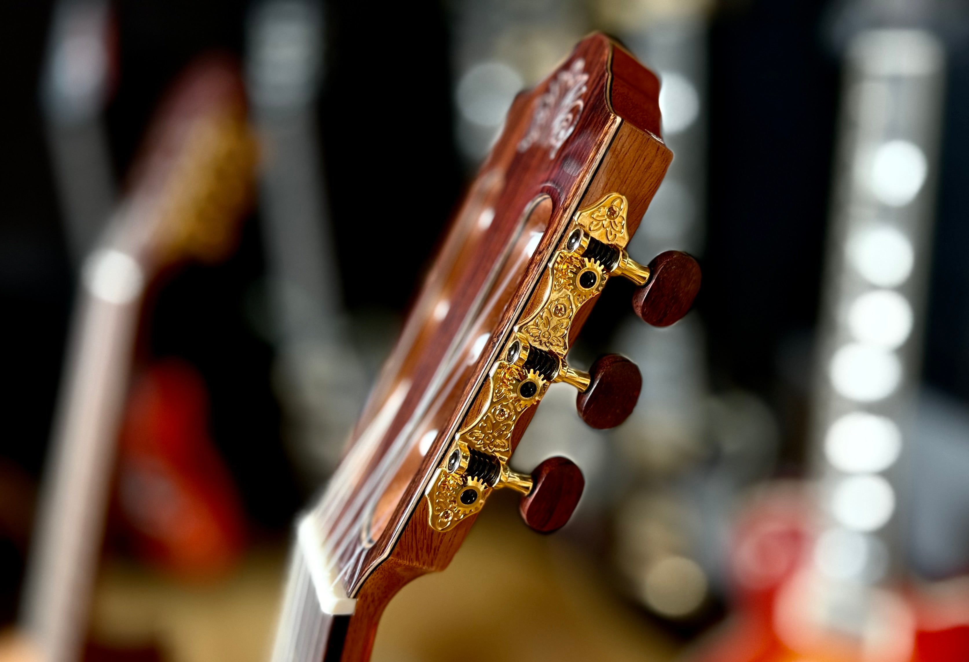 Kremona FIESTA FC, Solid Red Cedar, Solid Indian Rosewood, Nylon Strung Guitar for sale at Richards Guitars.