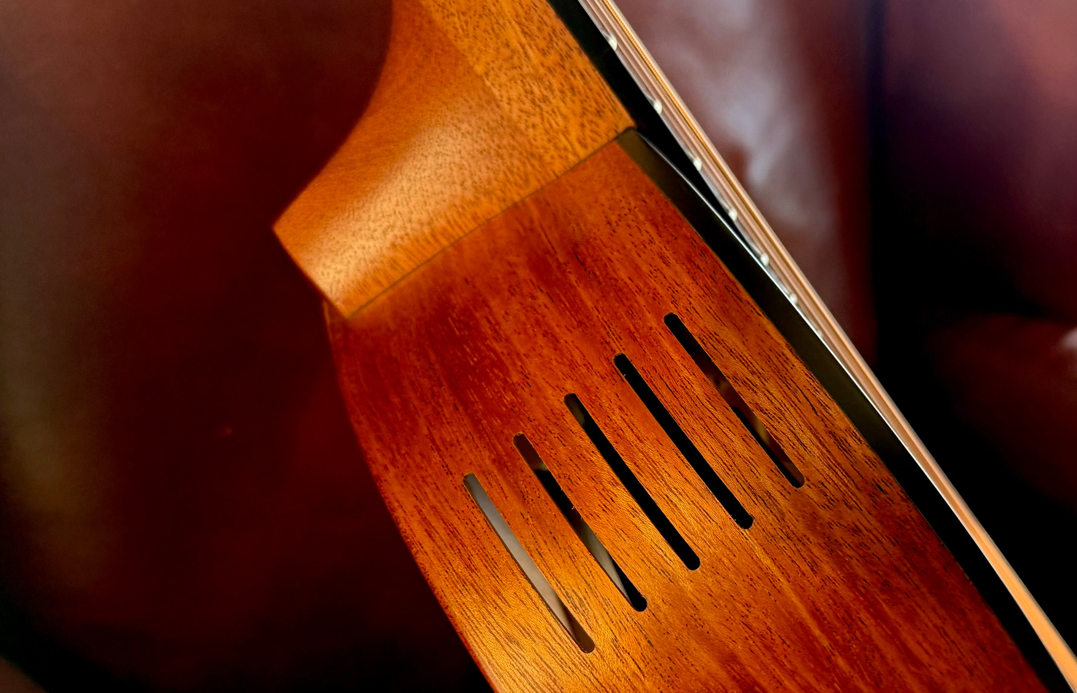 Furch Pioneer CM: Western red cedar top with African mahogany back and sides (Furch Mini / Travel Guitar)