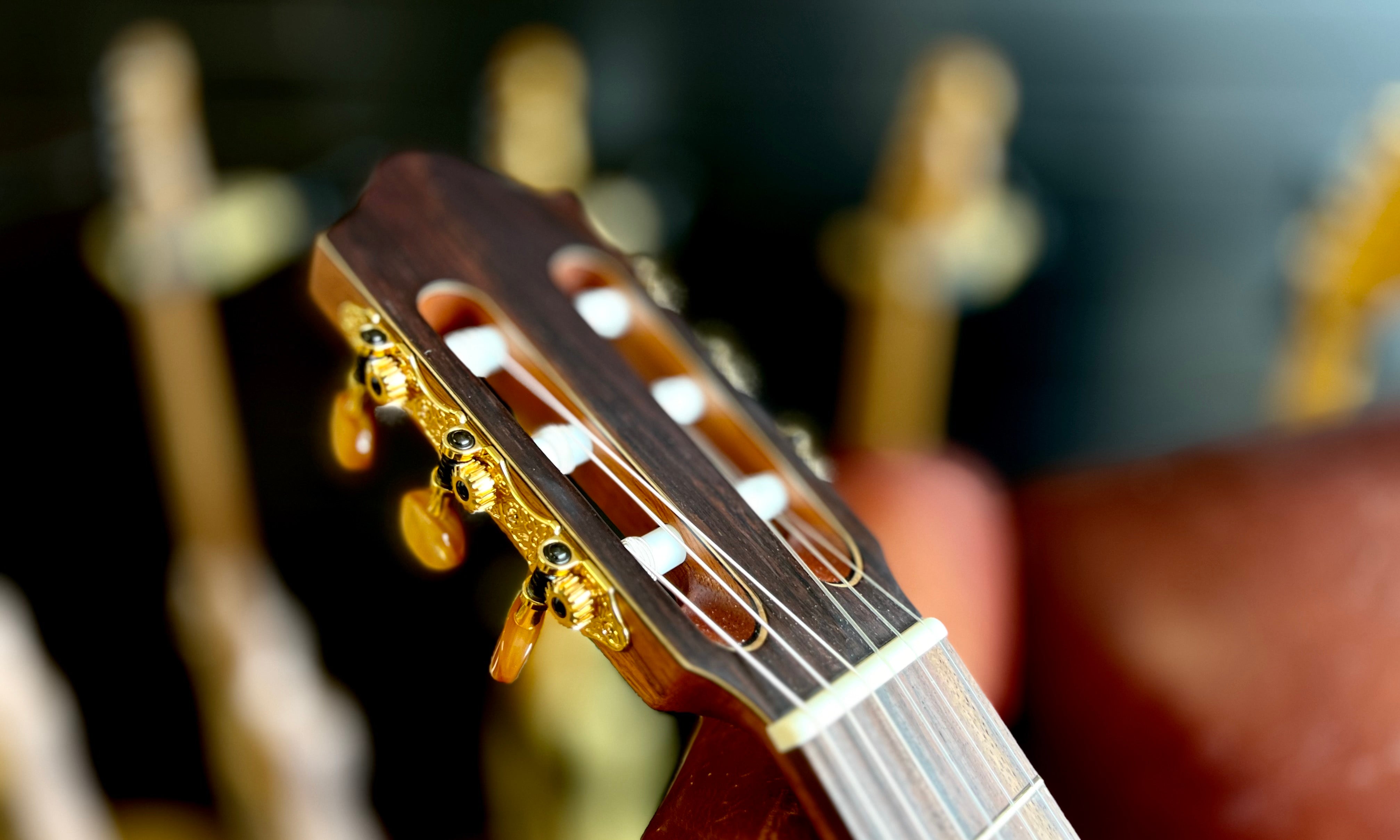 Kremona SOFIA SC Solid Red Cedar, Solid Sapelli, Nylon Strung Guitar for sale at Richards Guitars.