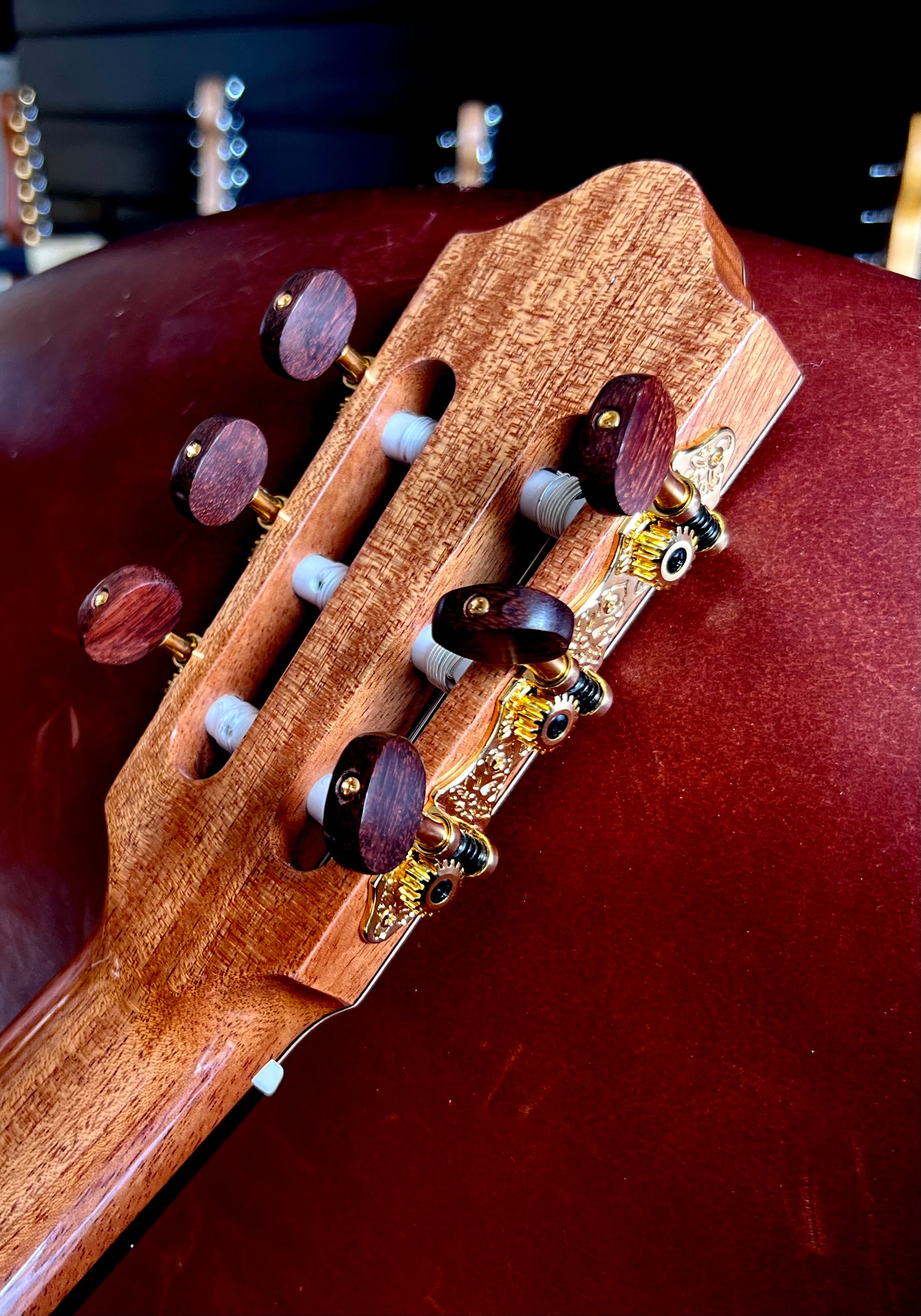 Kremona FIESTA FC, Solid Red Cedar, Solid Indian Rosewood, Nylon Strung Guitar for sale at Richards Guitars.