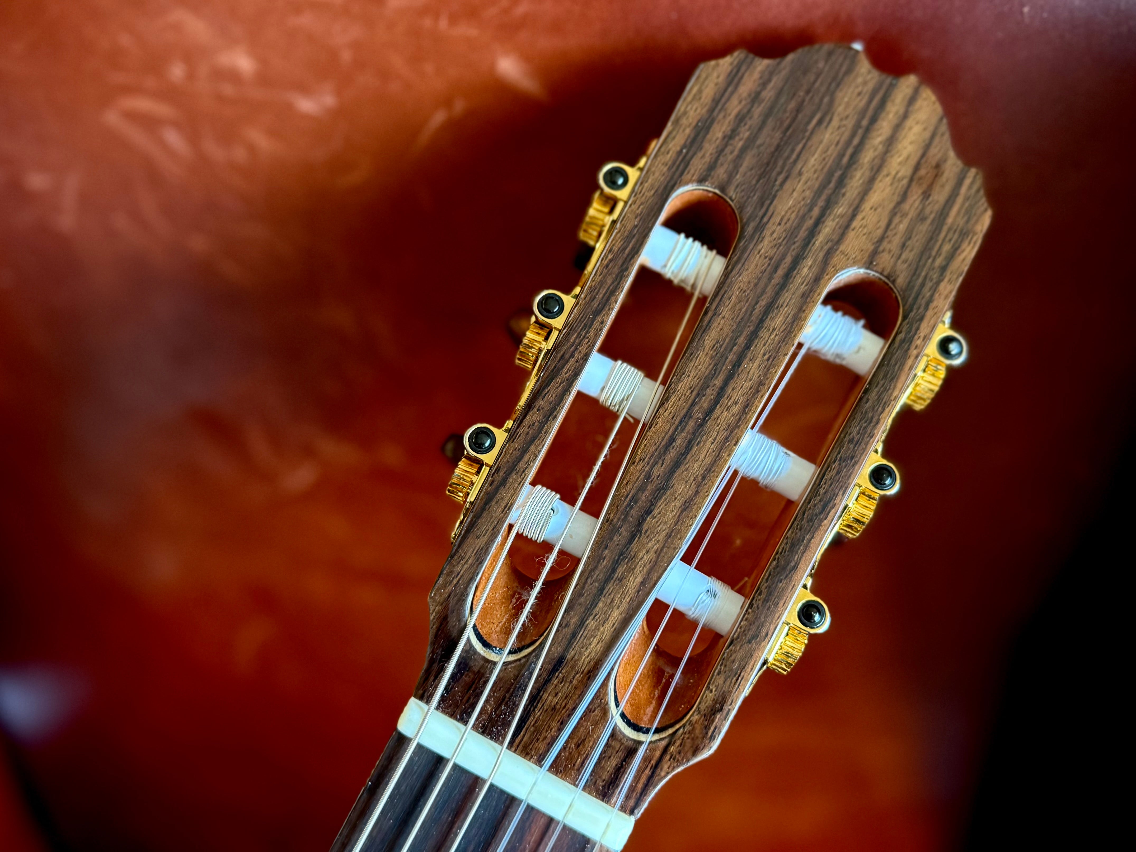 Kremona F65CWS, Solid Spruce, Indian Rosewood Back & Sides,  Hand Made Electro Nylon Strung Guitar