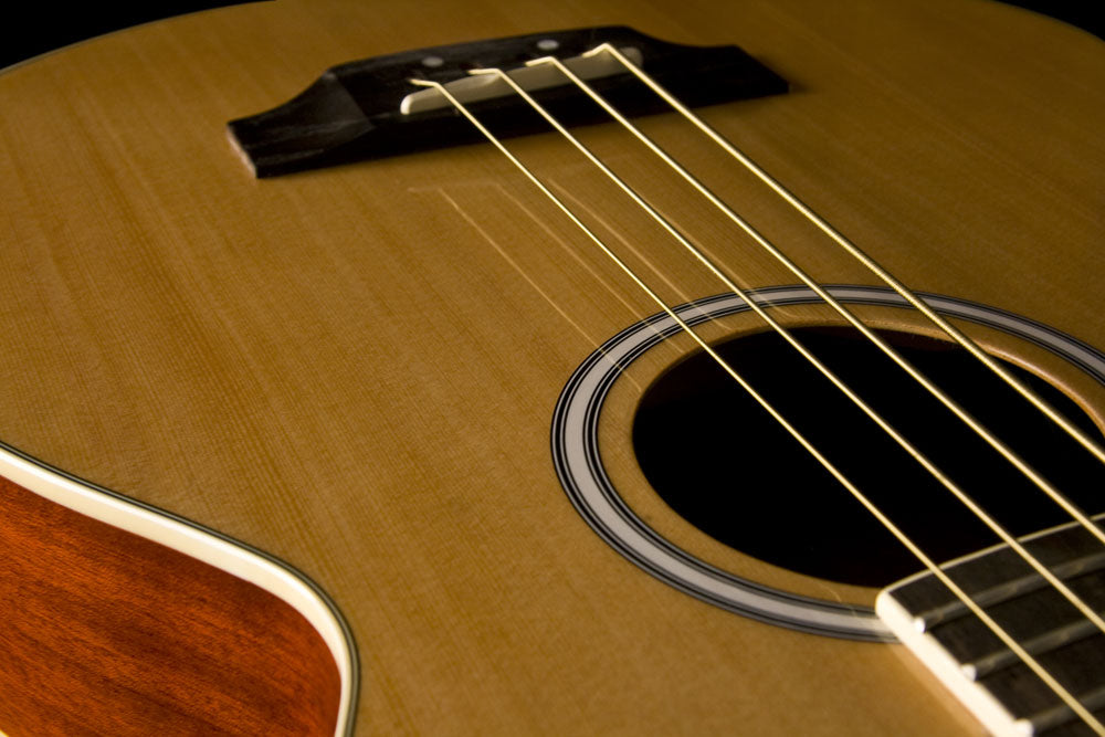 Washburn AB5 Acoustic Bass - Natural Bass Guitar, Bass Guitar for sale at Richards Guitars.