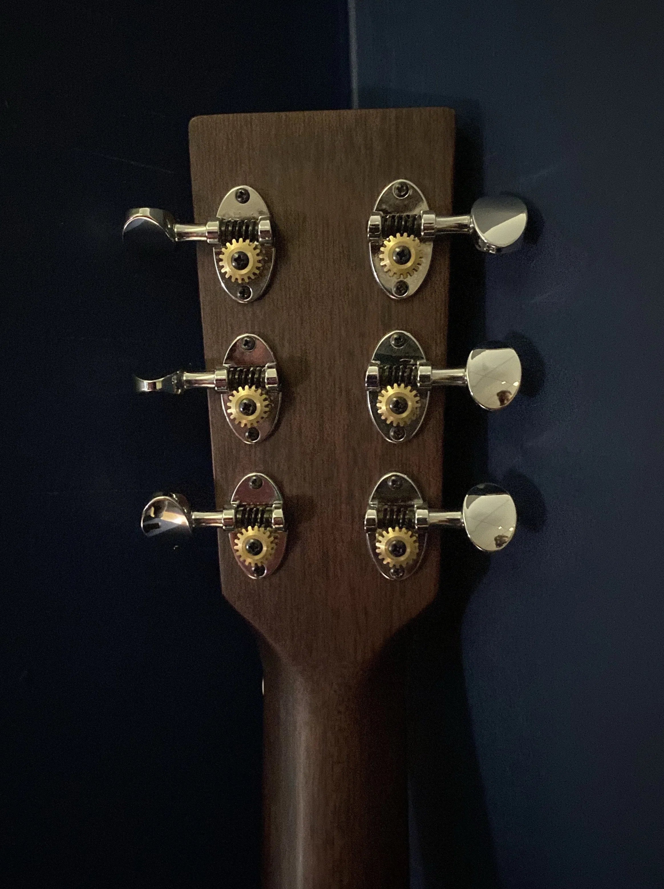 AUDEN ROSEWOOD SERIES – CHESTER 45 CEDAR CUTAWAY, Electro Acoustic Guitar for sale at Richards Guitars.