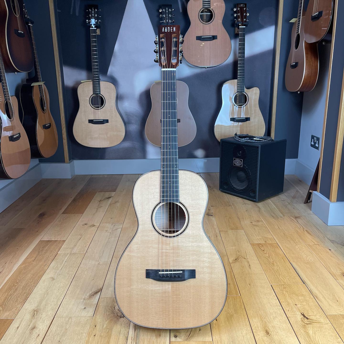 Auden Emily Rose Maple Series Full Body Electro Acoustic Guitar, Electro Acoustic Guitar for sale at Richards Guitars.