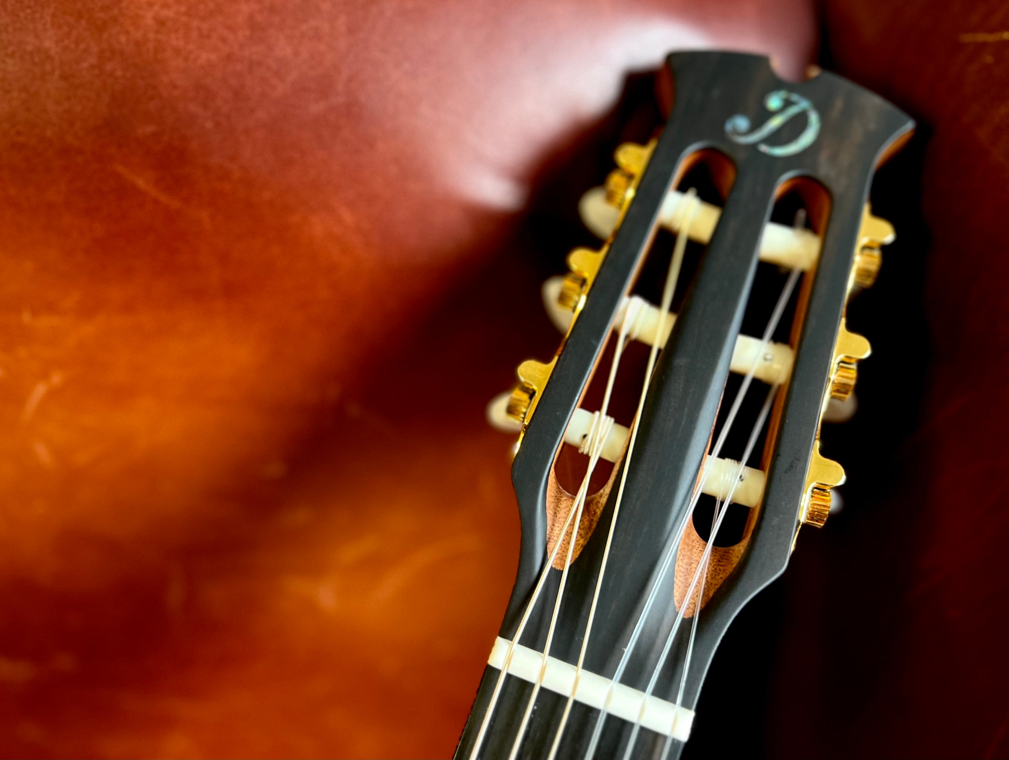 Dowina Rosewood (Ceres) HC Hybrid Nylon String Cutaway, Nylon Strung Guitar for sale at Richards Guitars.